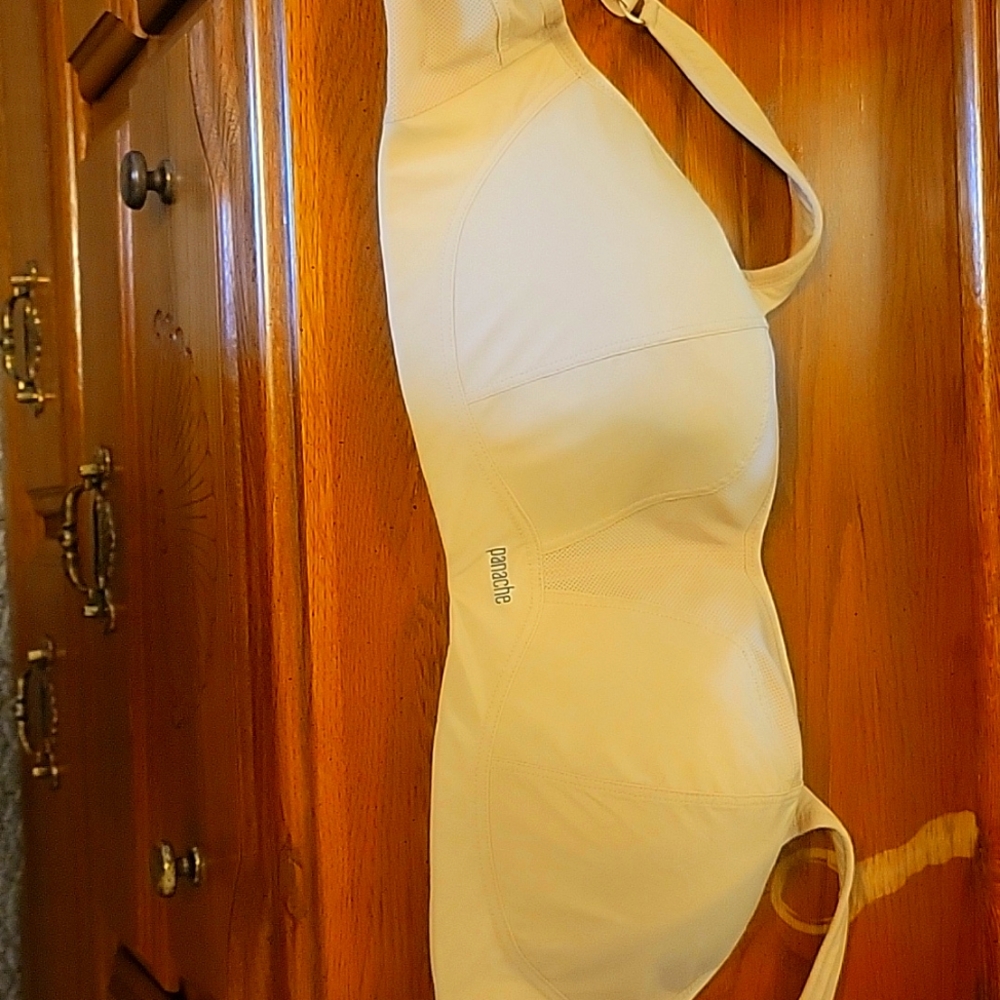 Panache Sports bra